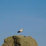 La Silla De La Reina *