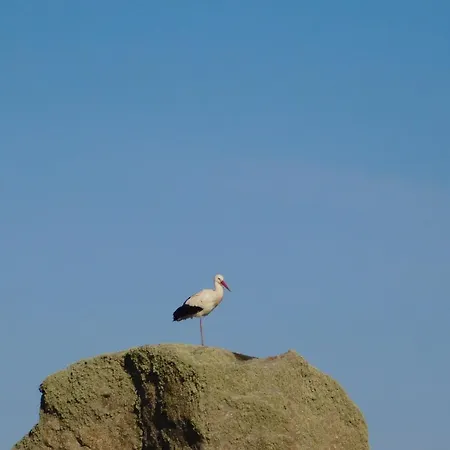 La Silla De La Reina *