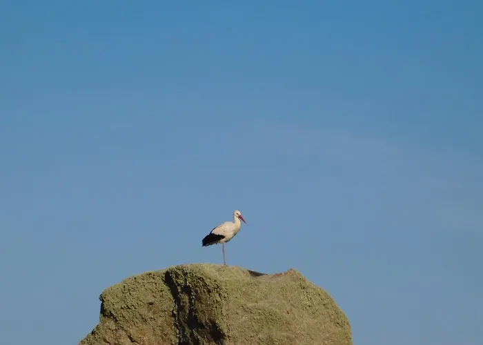 La Silla De La Reina *